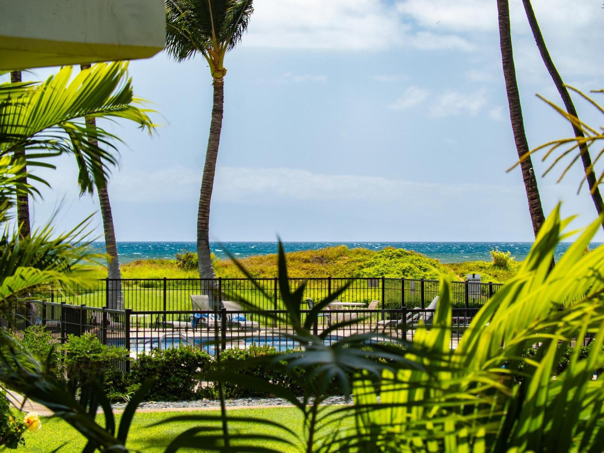 Wbh D116 Aloha Wai - Garden Suite Just Steps From The Sea Kihei Exteriör bild